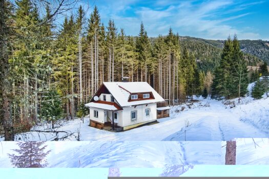 5jfeBFH2Ki81VhFlIltkye