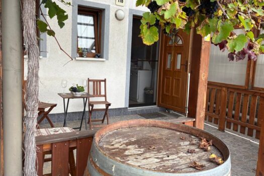 646QCGvtGAjvnrGL53ZCjj