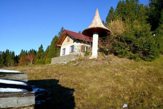 64w9S0WJni87gyOSwRwOaT