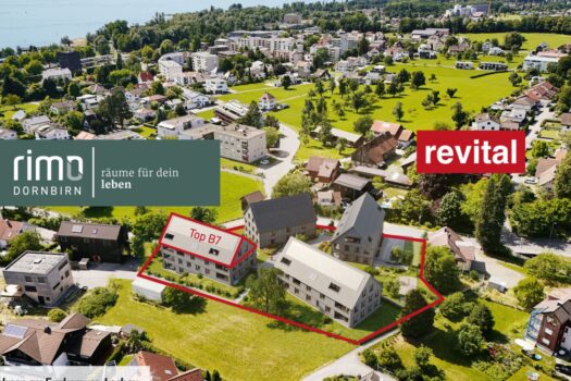 6BAauieZUjTVxgNunE9TN2