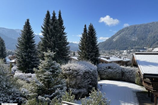 6G3HmNiRbJVNSlDuuN8HIx