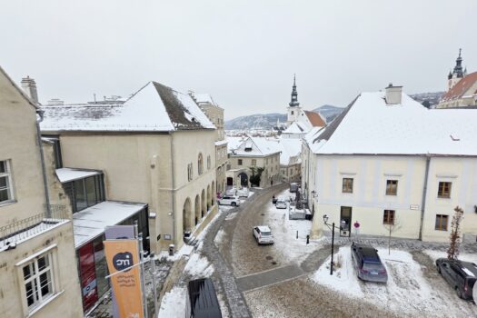 6Pj2ep6aT2VxqL1ZqybLAo