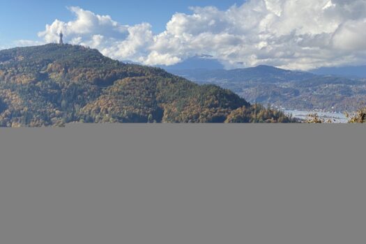 6QPxoBBhsKnJBs3G2614dK