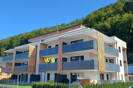 6R7DwozFy2cGikTH0aWk81