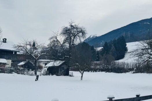 6RXHOtZd3C0NRGJpSETw47