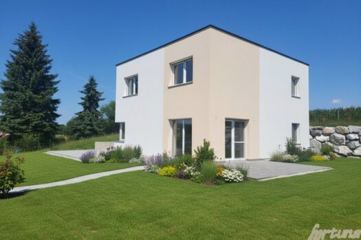 Haus (Beispielfoto mit fertigen Garten)