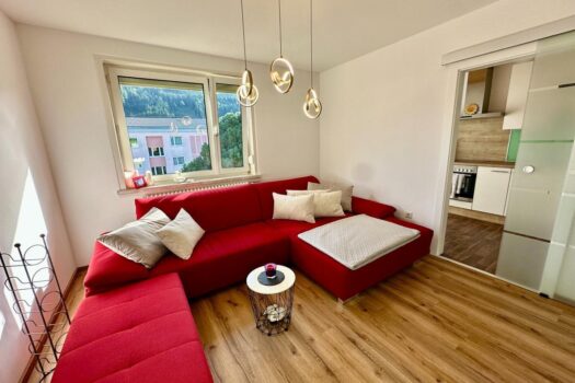 Wohnzimmer mit Küche