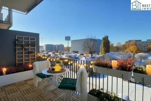 6n0QFsyrMZoiWl31qfLeKP