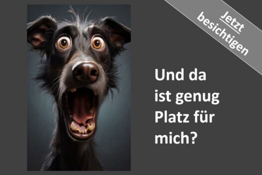 6t8sQRkYl6CeasvGkUUGtb