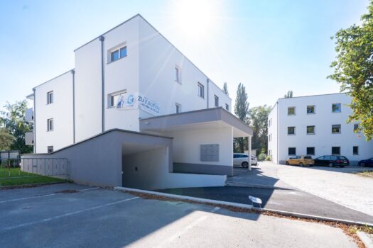 6u56NciAzZGpsZStWxcTY0