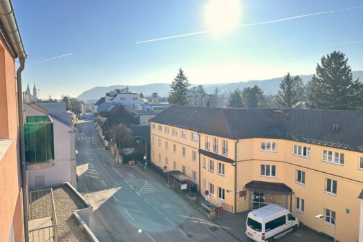 Ausblick Balkon auf den Leopoldsberg