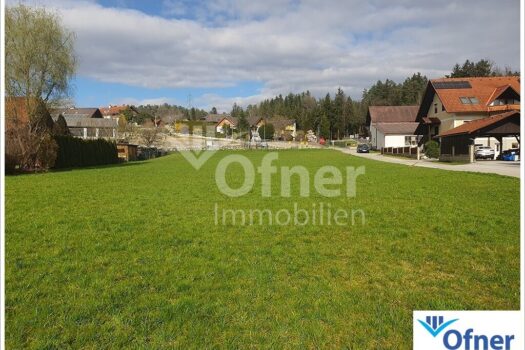 6ud5mxr74aAVF65Q4GM1ST