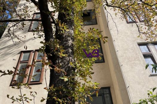 3-Zimmer-Altbauwohnung zum sanieren mit Gartenmöglichkeit! 6xFxb76GRf5YyL9RxCxVe