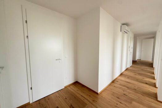 6ynXWrwJGkPFkwd8GCyPCf