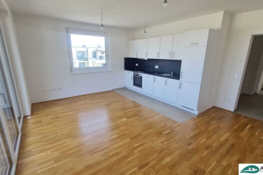 *NEUJAHRSAKTION* 1. Monat MIETFREI! im Februar einziehen, ab März zahlen - große 3-Zimmerwohnung mit optimalem Grundriss im Wohnpark Tullnerfeld - im Grünen wohnen, aber in der Stadt arbeiten - Tiefgaragenplatz optional möglich! 769ykXLdvGg3IbHW0WYrNZ