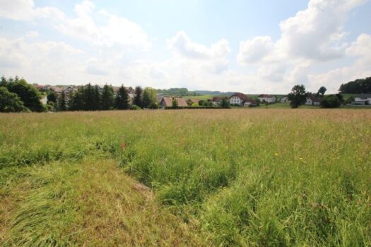 7kUCdRj6lH0BSdDqc8RQLE