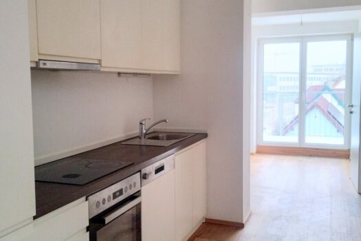 Lemböckgasse Terrassewohnung zzgl. 6,96 m² Terrasse nähe U-Bahnlinie Perfektastraße! 7q5Vvc6PTqe3FdSpaDrHaW