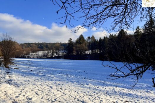 7zfJxo2shh01DUjzOERmRa