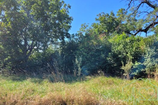 9o4CwkC7nLz4YJpezLnlP