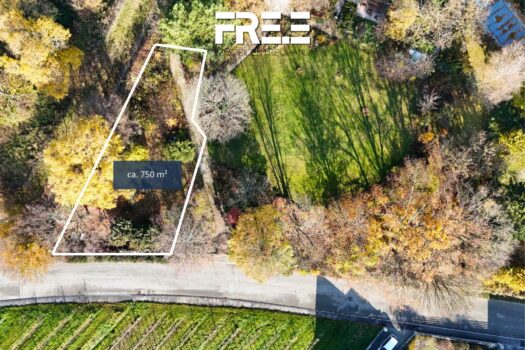 GgC6Vo98LEWEENVoYy3vR