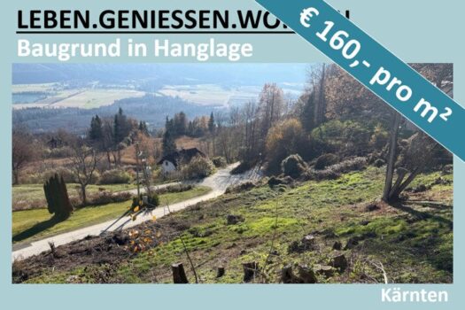 J4MJwQ2yy5WD6nHiW7oPp