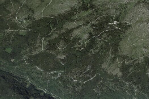 RevhfrMMsZ7bLqBDNihcG