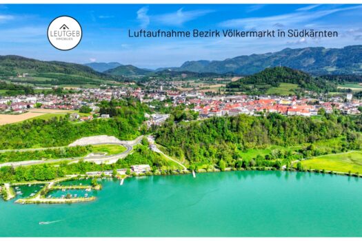 XVMpVPphI6Ny1Z7mxjWaL