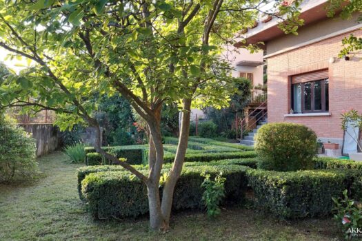 h1iIlzgurkZAqyKZWFoZj