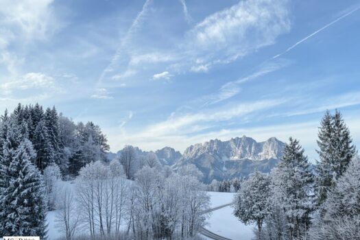 lXYj5trQ37ilxfjOQQ12h