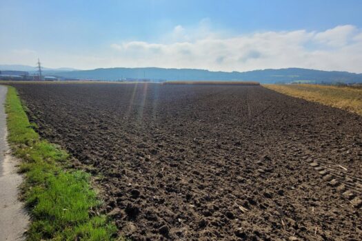 nXZgdiydJ9d2rfqffSqwO