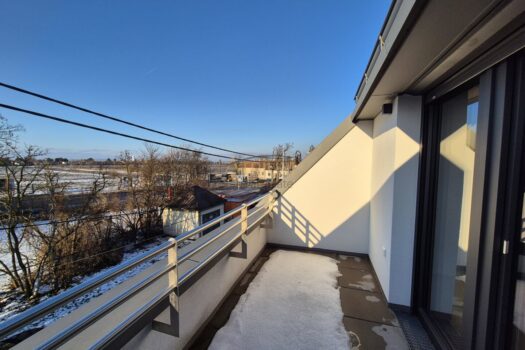 v83VY9WjPKZmsMT5U3XKF