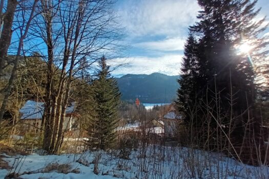 10kzBtzszKdDV21jb42a2t