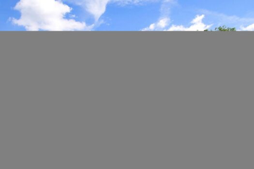 Hausansicht gartenseitig-Visualisierung