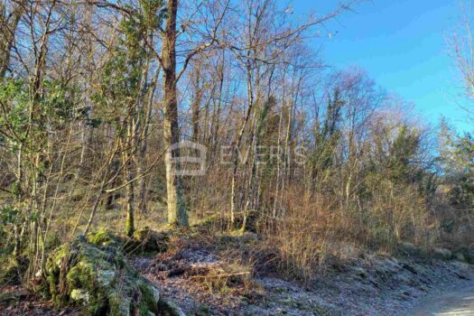 1644922867 img befffedb38aad8e1fa71bd7f45618273 v