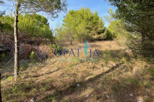 1724840653 zdenko site