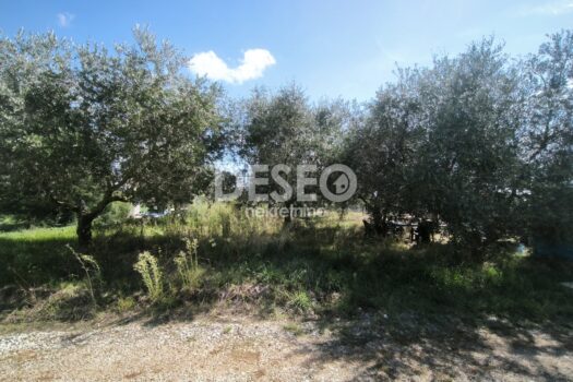 1757624140 img 20250911 172623