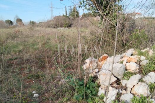 1763347208 891915498 410981 0