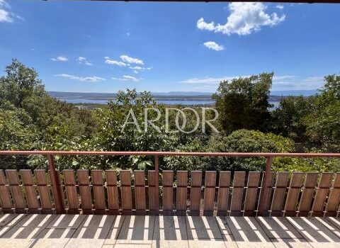 1763635919 thumb 1755862233 img 8382