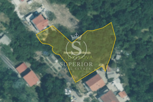 1769501865 chatgpt image jan 27 2026 at 09 16 51 am