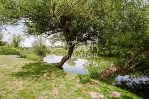 1769613952 prodaja imanje karlovacka zupanija 15