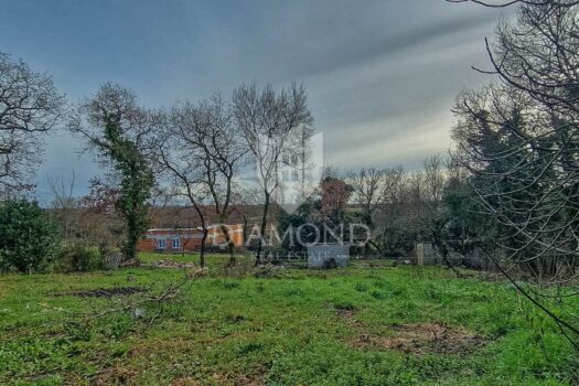 1769704040 novigrad brtonigla 1 1