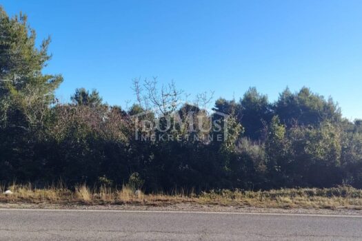 1769764415 whatsapp image 2026 01 30 at 09