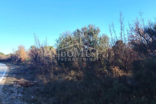 1769766869 whatsapp image 2026 01 30 at 09