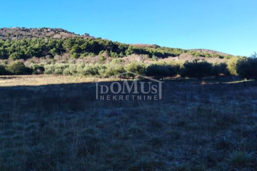 1769768905 whatsapp image 2026 01 30 at 09