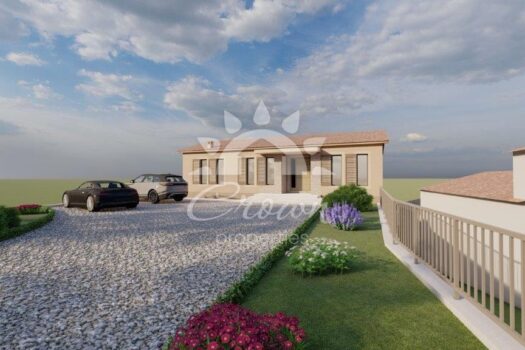 1769770119 zminj hasen