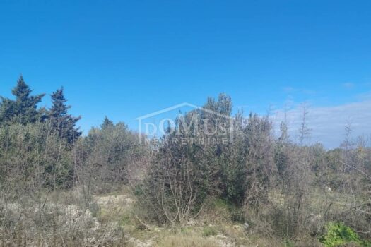 1769774146 whatsapp image 2026 01 30 at 12