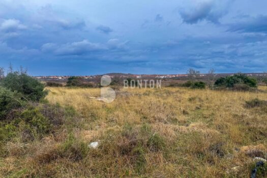 1769982220 eb07bc53 a630 4d56 a970 95fd0867256c