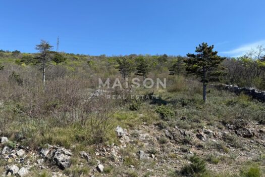 1770024083 whatsapp image 2026 02 02 at 09