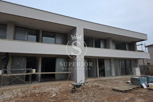 1770120542 photo 2026 02 03 12 57 47 2