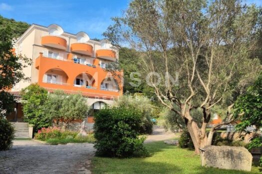 1770191459 565288495